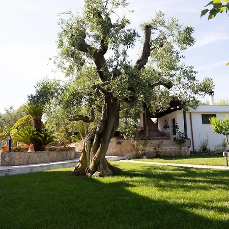 Frühstückspension Dei Colli Ostuni