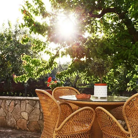 فندق مبيت وإفطار Dei Colli