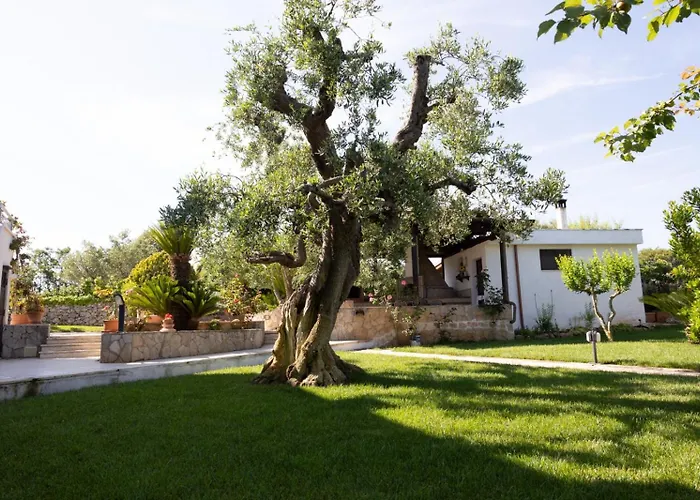 Bed & Breakfast Dei Colli Ostuni