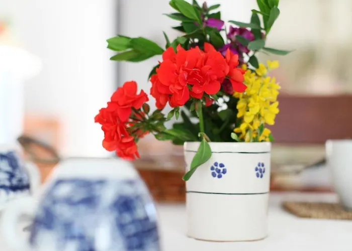 Bed and breakfast Dei Colli